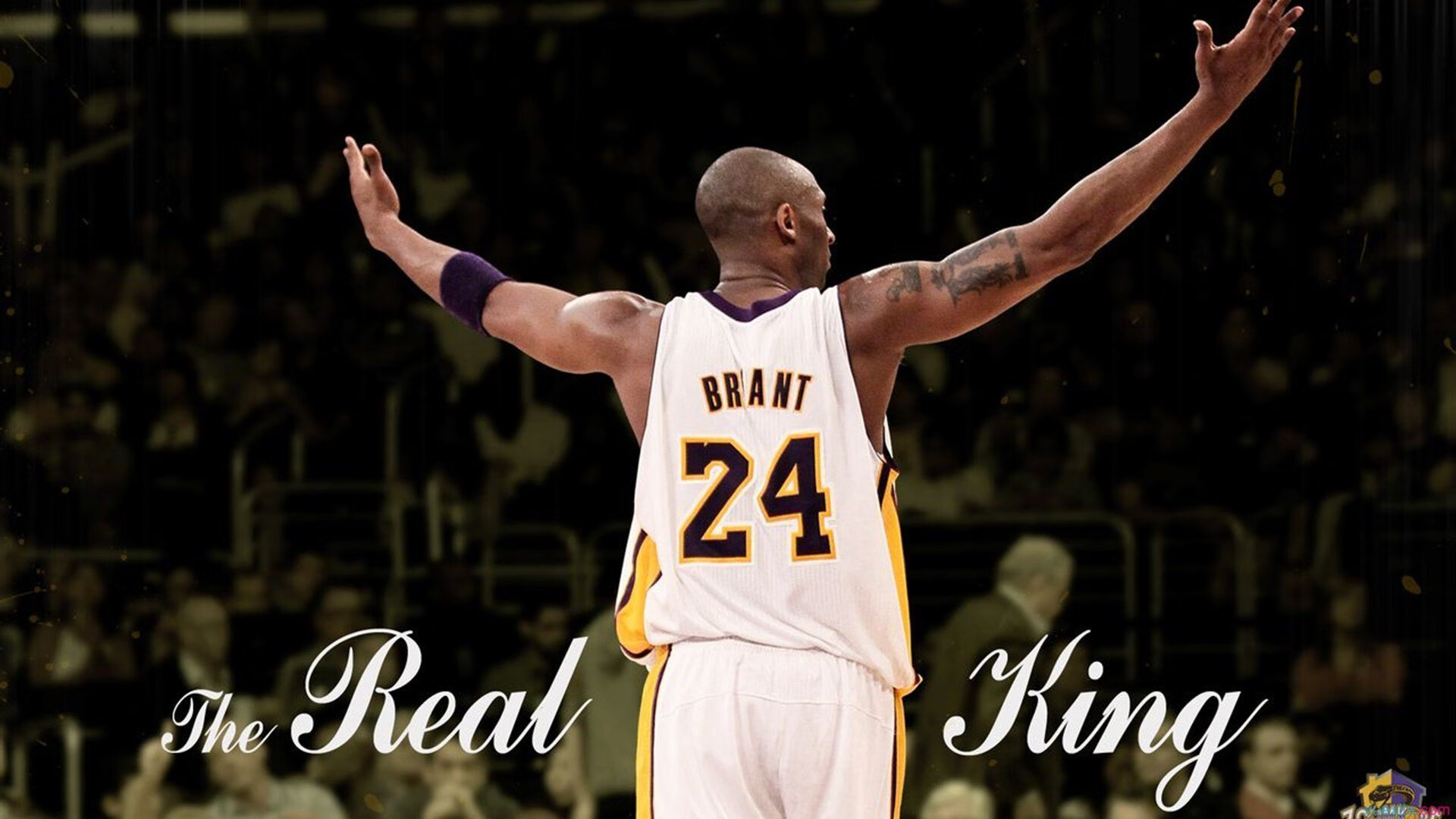 凯尔特人训练营最后一日进行投篮比拼，凯尔特人训练场