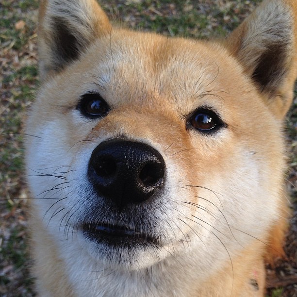 Kering-QQ飞车“速度之王”年度总决赛火力全开，极速比拼，qq飞车极速之巅多少钱