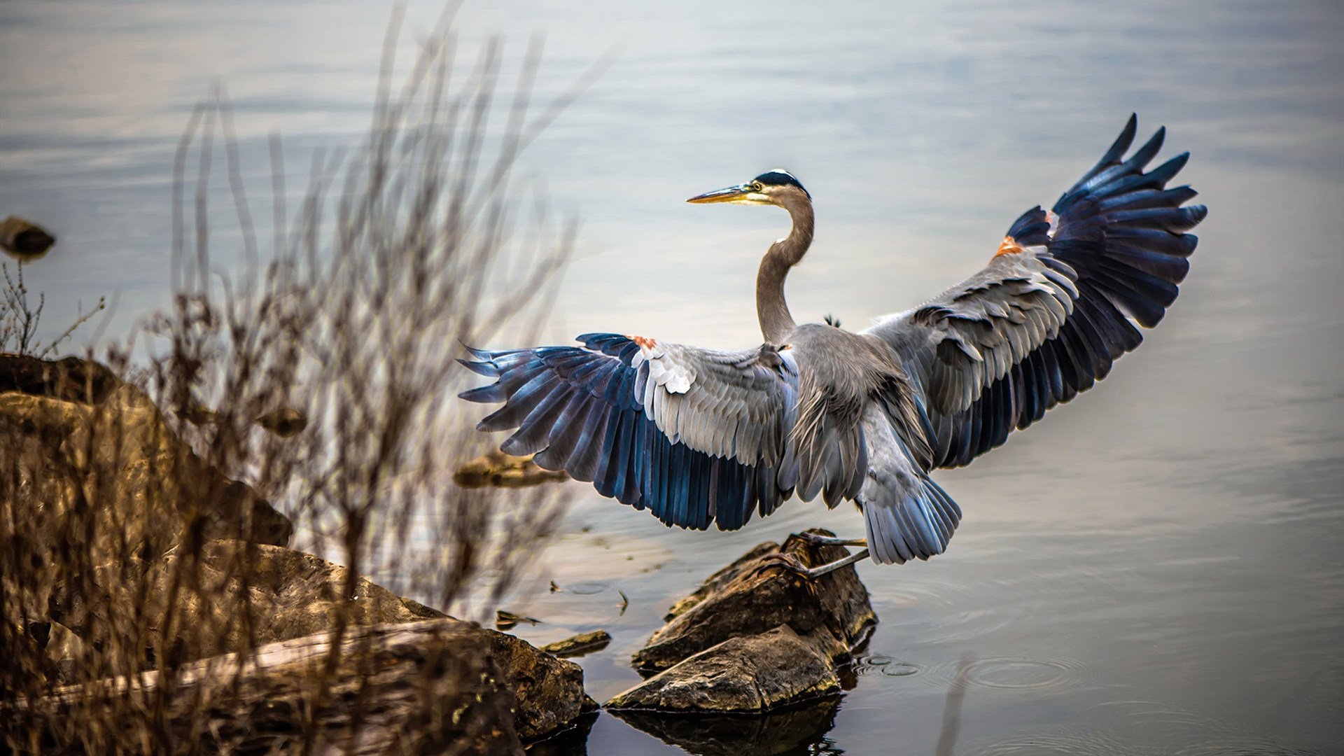 开云·Kaiyun网页版-_火箭队全员积极拼搏，追逐季后赛梦想_，火箭队全队