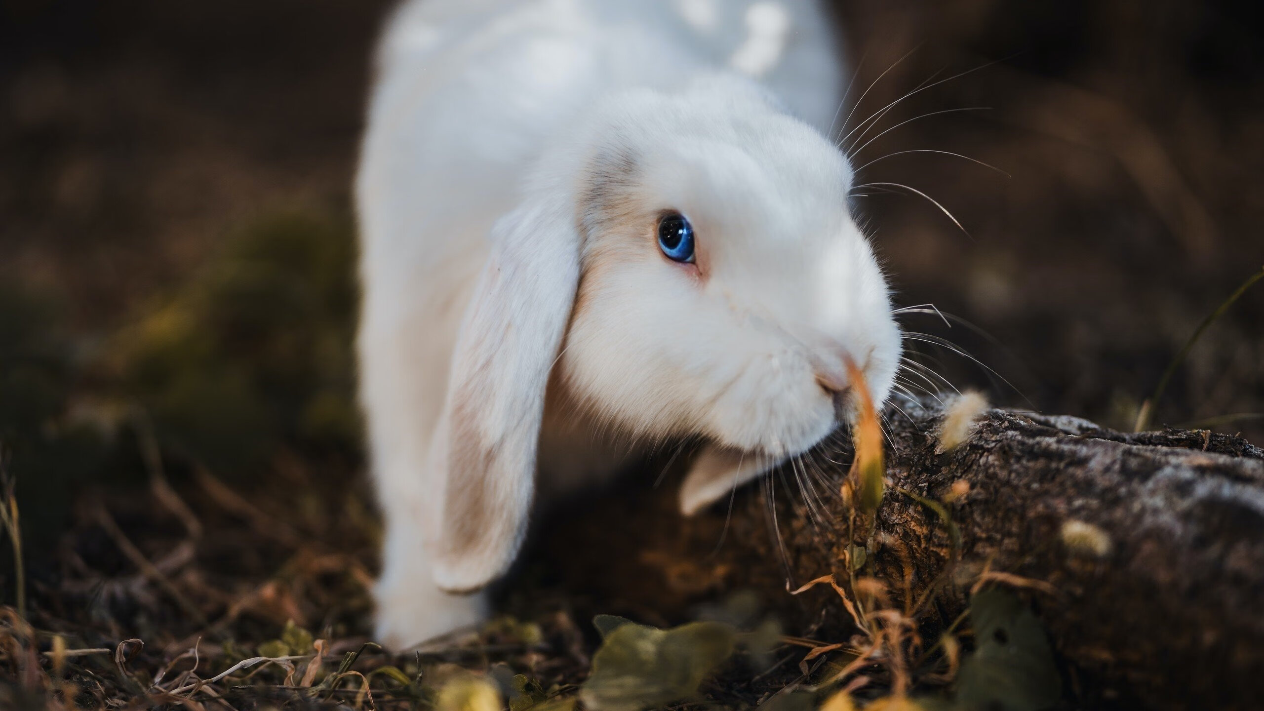 区块链让交易透明可信,推动联盟数字经济发展,区块链数字经济最新消息